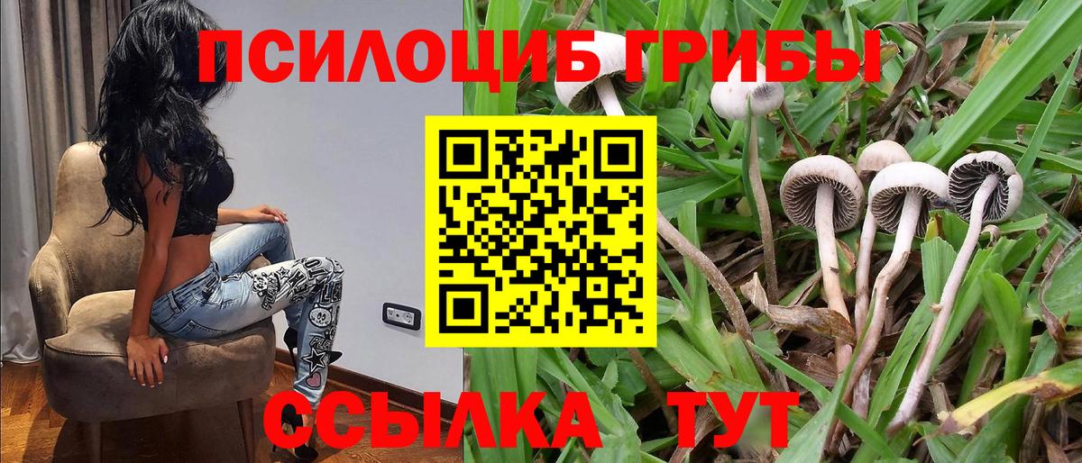 Галлюциногенные грибы Cubensis Октябрьский