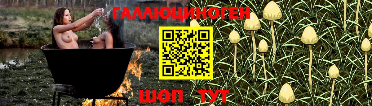Псилоцибиновые грибы мицелий  Галлюциногенные грибы мицелий  Октябрьский  Вход с VPN 